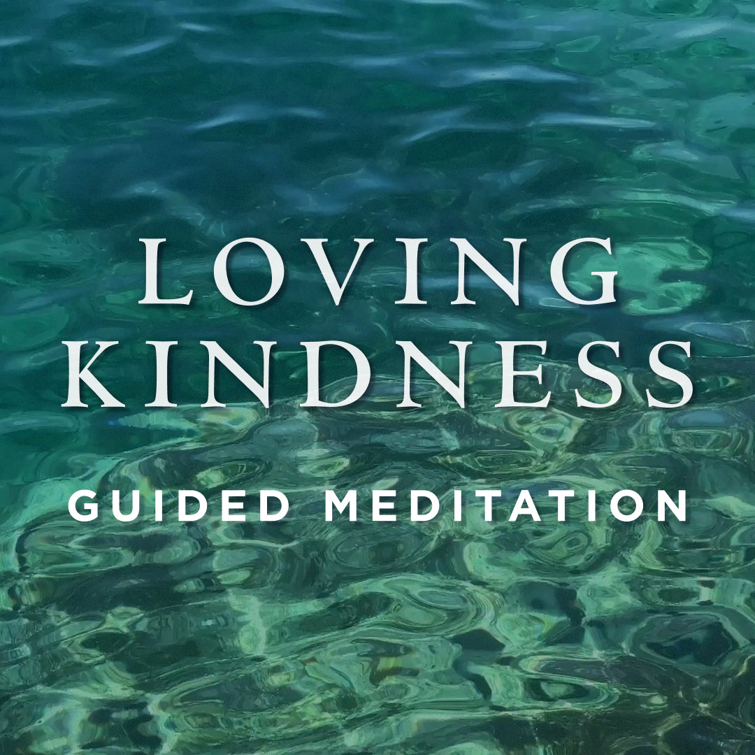 Metta Loving Kindness (voice only)